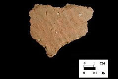 Dames Quarter exterior surface of body sherd from Nassawango, site 18WO23/6K.